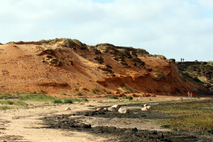 Morsum Kliff 29.jpg - Am Morsum Kliff